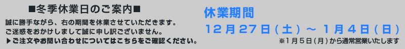 電脳ザウルス冬季休業